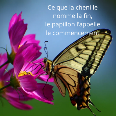 Pourquoi choisir l'accompagnement personnalisé?